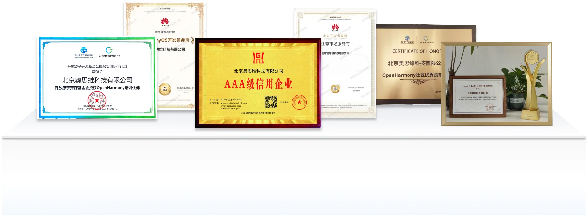 荣誉奖项
